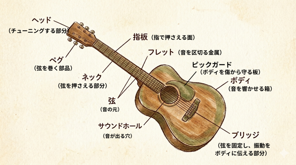アコースティックギターの各部パーツ名称（ヘッド、ペグ、ネック、弦など）を解説した手描き風のイラスト図解